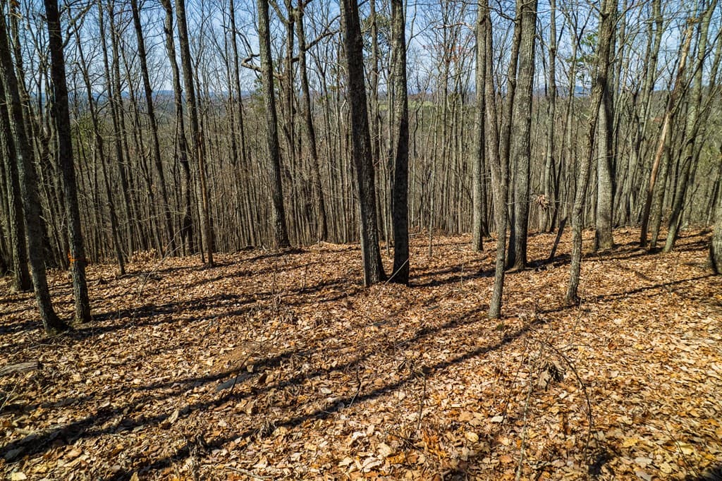 Lot 35 Heatherwood Way, Talking Rock GA 30175 - Photo