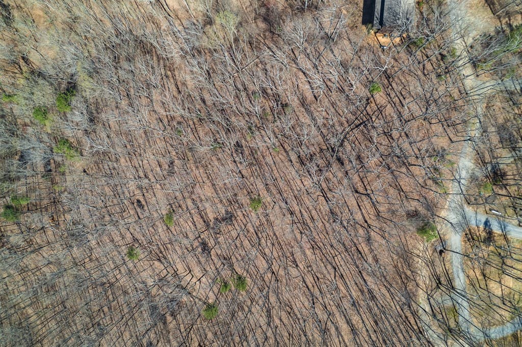 Lot 35 Heatherwood Way, Talking Rock GA 30175 - Photo