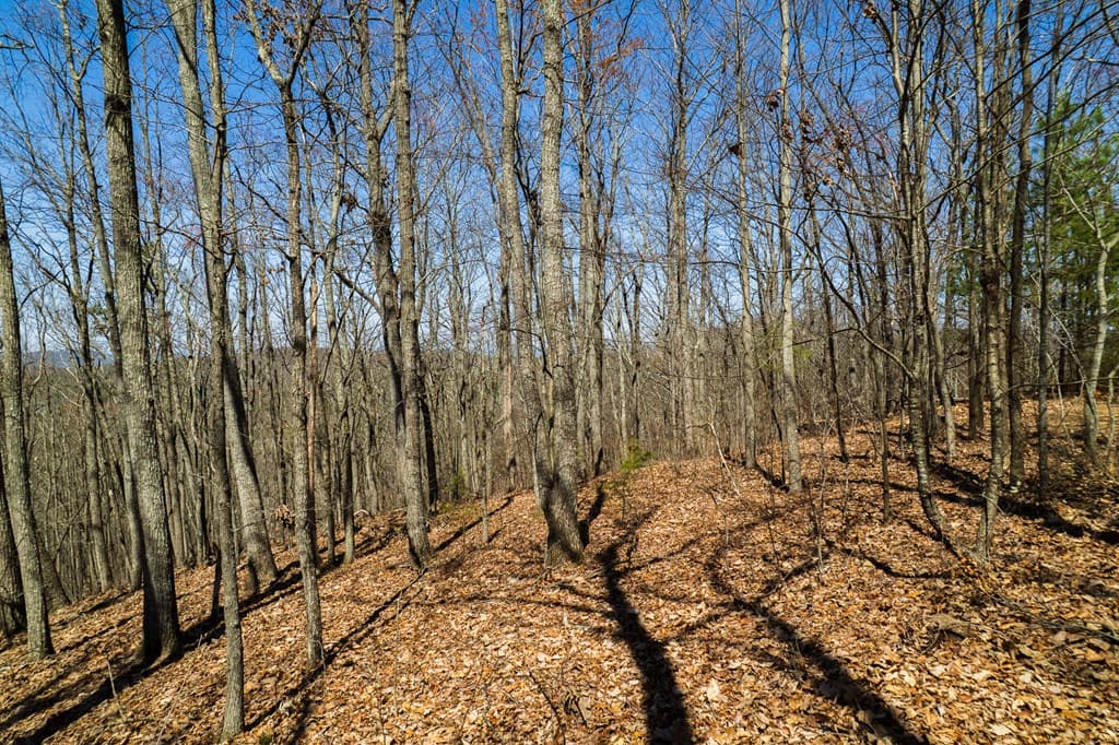 Lot 35 Heatherwood Way, Talking Rock GA 30175 - Photo
