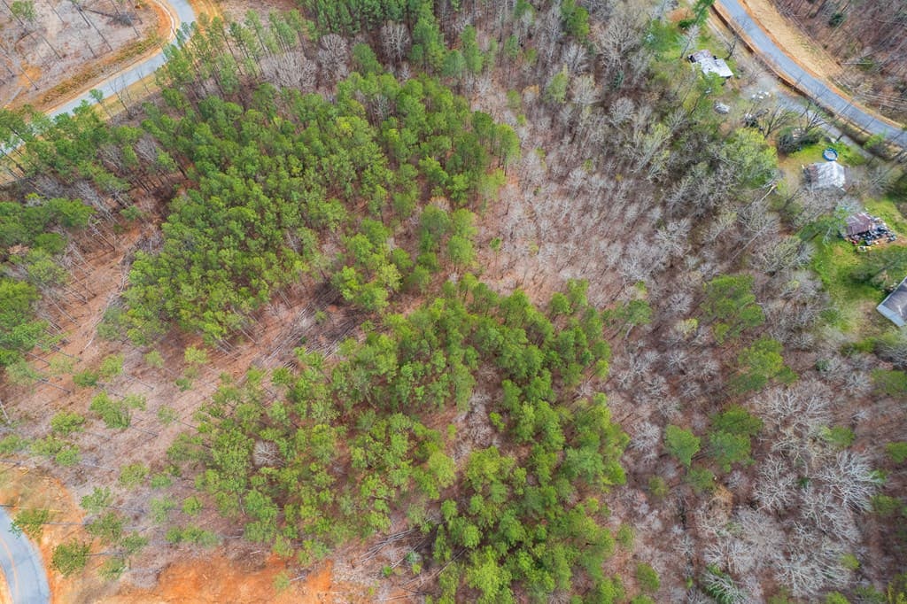 Lot 112 Blalock Mountain Road, Talking Rock GA 30175 - Photo