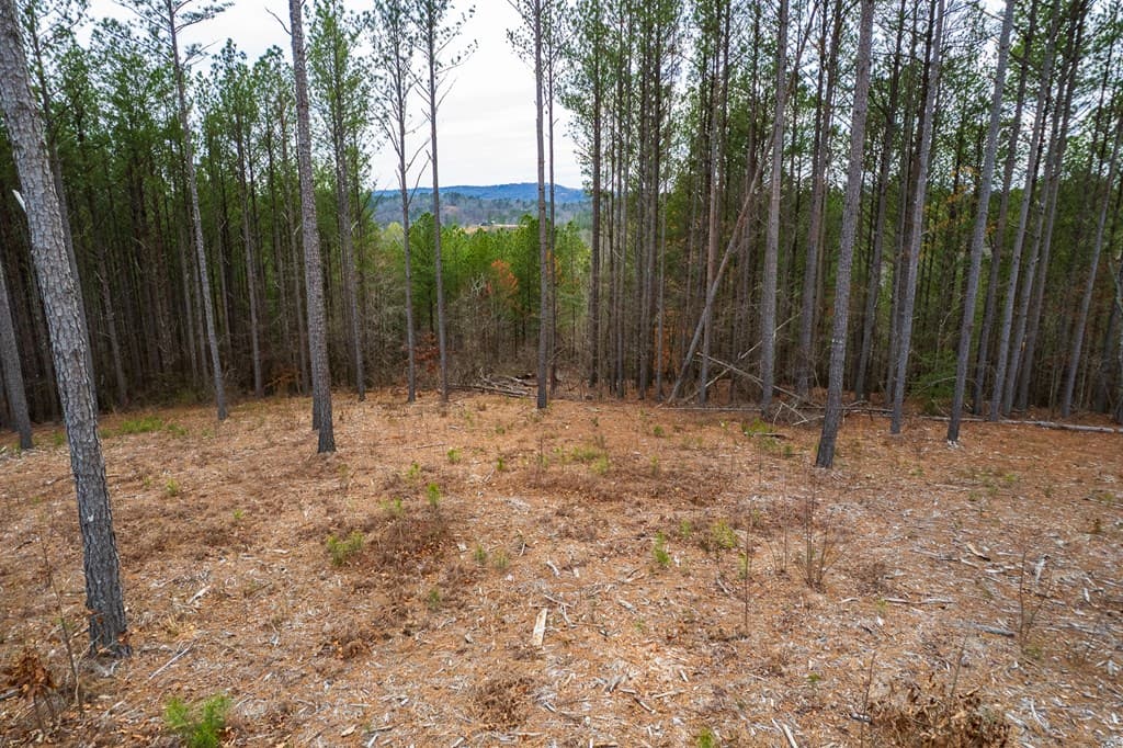 Lot 112 Blalock Mountain Road, Talking Rock GA 30175 - Photo