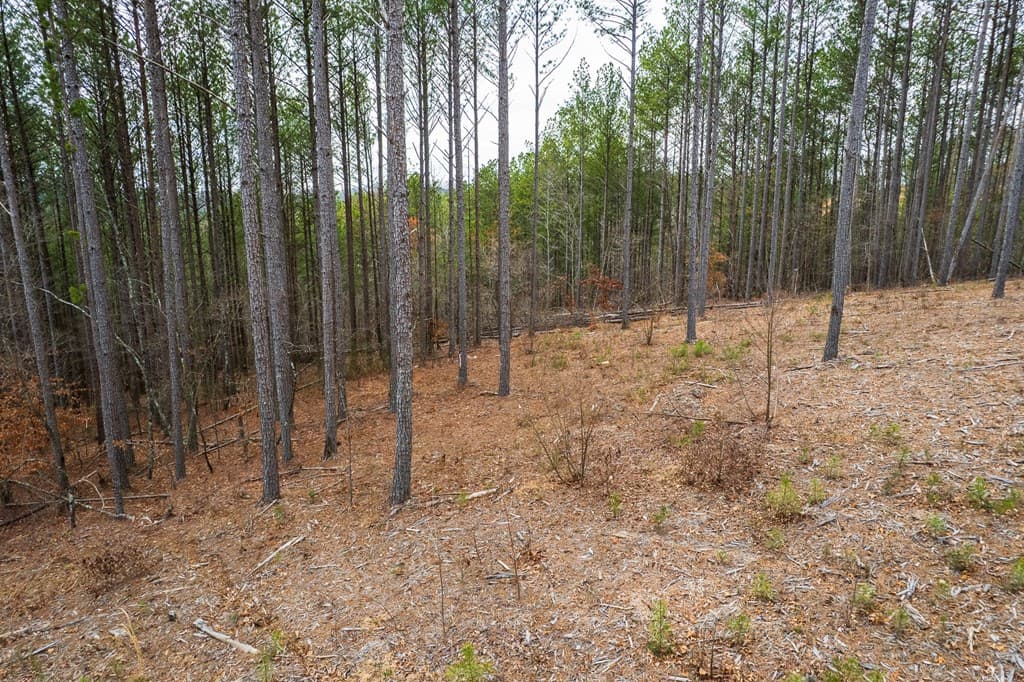 Lot 112 Blalock Mountain Road, Talking Rock GA 30175 - Photo