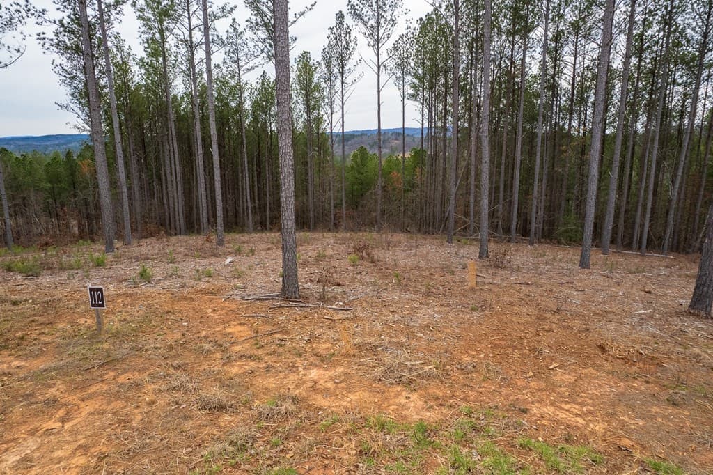 Lot 112 Blalock Mountain Road, Talking Rock GA 30175 - Photo