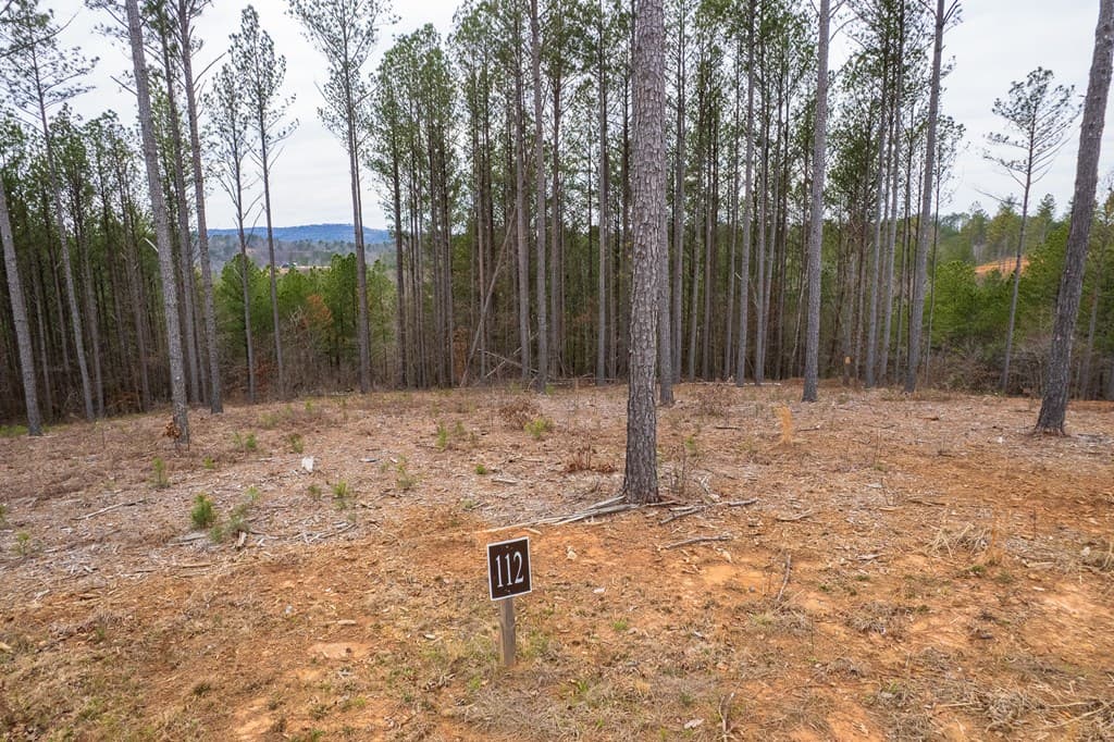 Lot 112 Blalock Mountain Road, Talking Rock GA 30175 - Photo