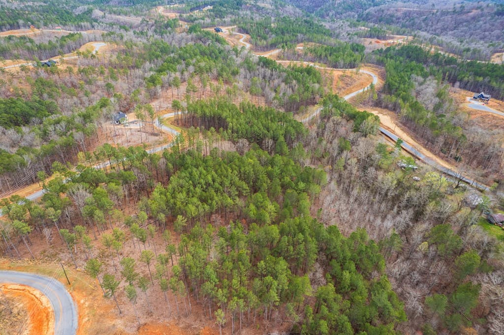 Lot 112 Blalock Mountain Road, Talking Rock GA 30175 - Photo