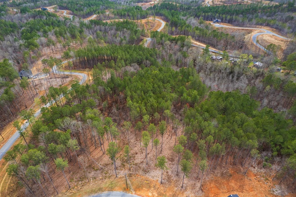 Lot 112 Blalock Mountain Road, Talking Rock GA 30175 - Photo