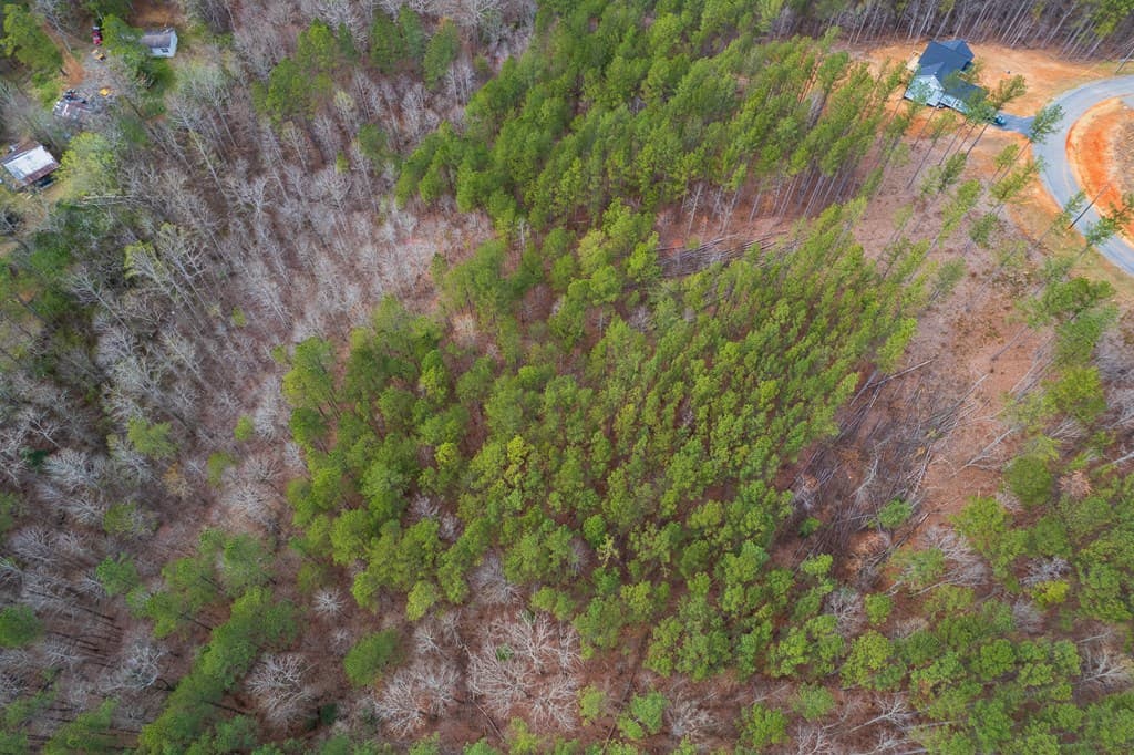 Lot 112 Blalock Mountain Road, Talking Rock GA 30175 - Photo