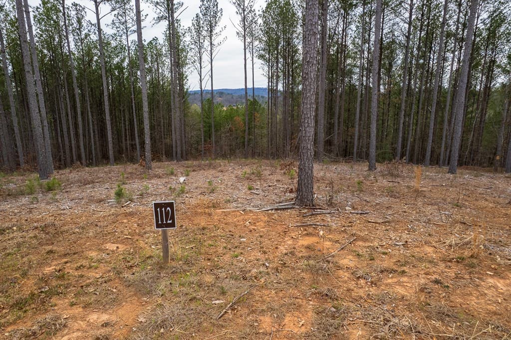 Lot 112 Blalock Mountain Road, Talking Rock GA 30175 - Photo