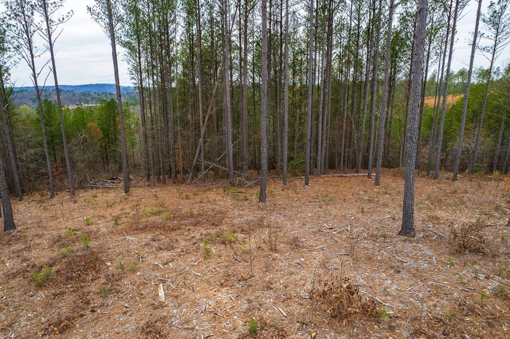 Lot 112 Blalock Mountain Road, Talking Rock GA 30175 - Photo
