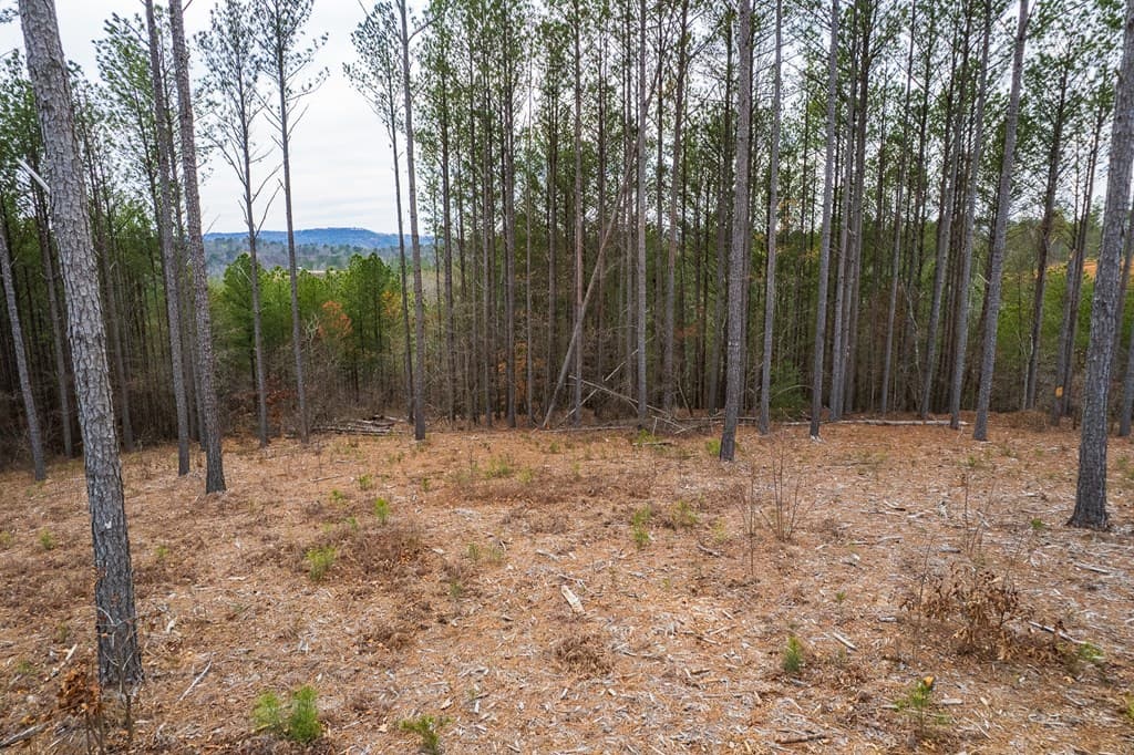 Lot 112 Blalock Mountain Road, Talking Rock GA 30175 - Photo