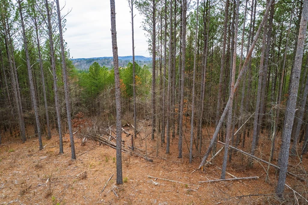 Lot 112 Blalock Mountain Road, Talking Rock GA 30175 - Photo