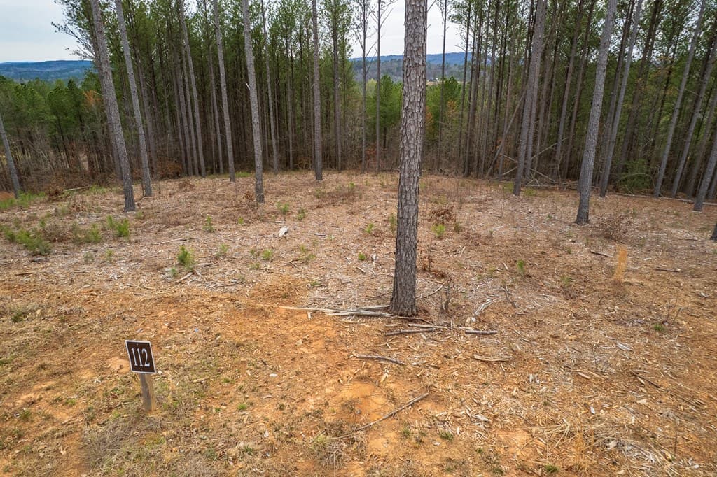 Lot 112 Blalock Mountain Road, Talking Rock GA 30175 - Photo