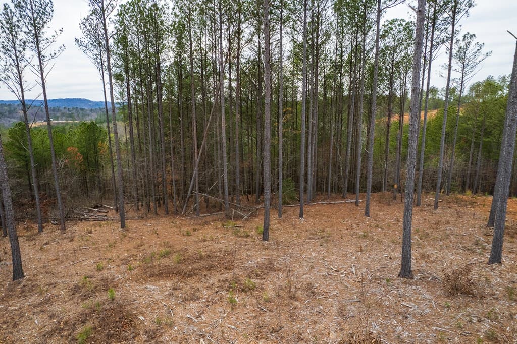 Lot 112 Blalock Mountain Road, Talking Rock GA 30175 - Photo
