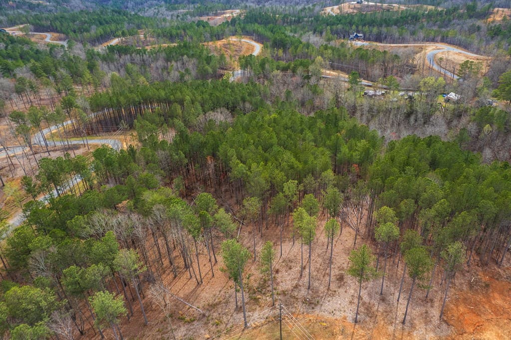Lot 112 Blalock Mountain Road, Talking Rock GA 30175 - Photo