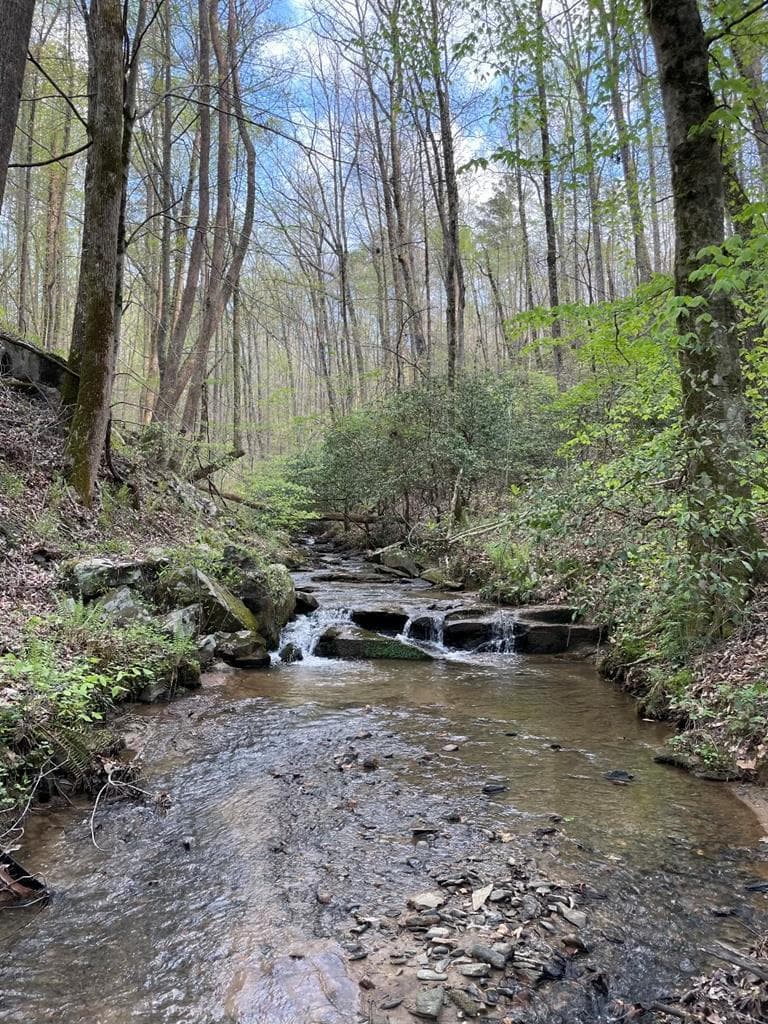 0000 Shady Grove Road, Talking Rock GA 30175 - Photo