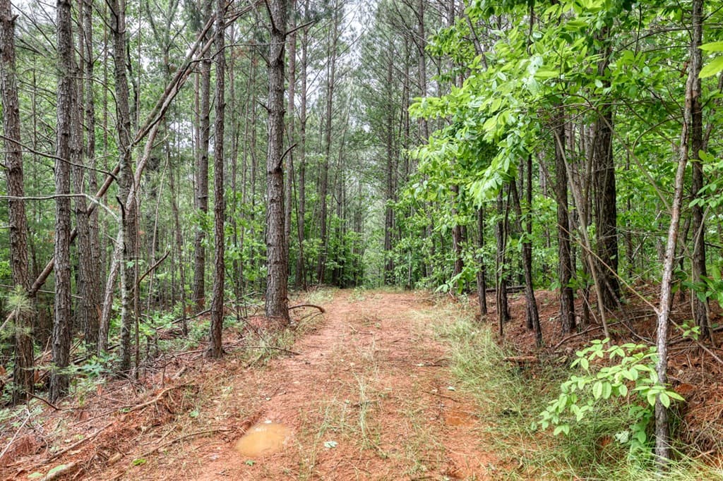 0000 Shady Grove Road, Talking Rock GA 30175 - Photo