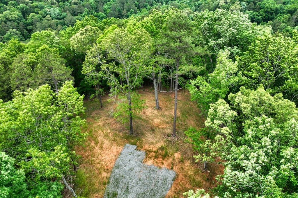 0000 Shady Grove Road, Talking Rock GA 30175 - Photo