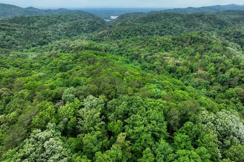 0000 Shady Grove Road, Talking Rock GA 30175 - Photo
