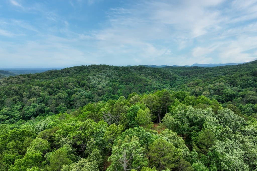 0000 Shady Grove Road, Talking Rock GA 30175 - Photo