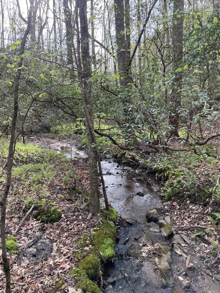0000 Shady Grove Road, Talking Rock GA 30175 - Photo