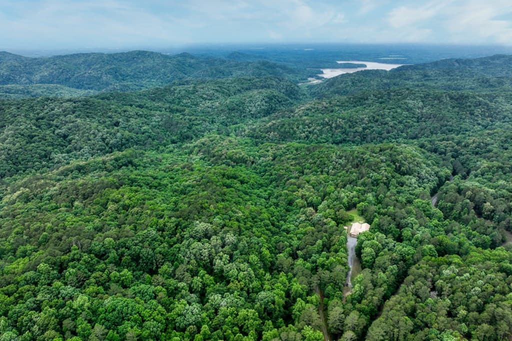 0000 Shady Grove Road, Talking Rock GA 30175 - Photo