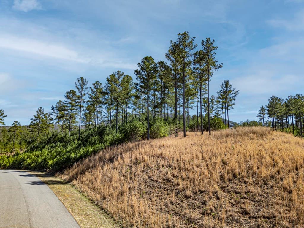 0 Loop Lane, Blairsville GA 30512 - Photo