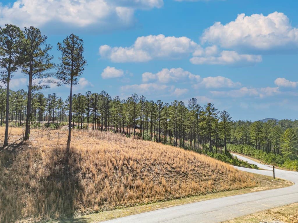0 Loop Lane, Blairsville GA 30512 - Photo