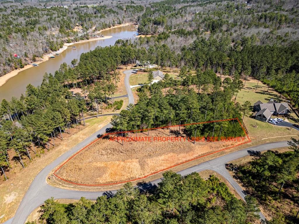 0 Loop Lane, Blairsville GA 30512 - Primary photo