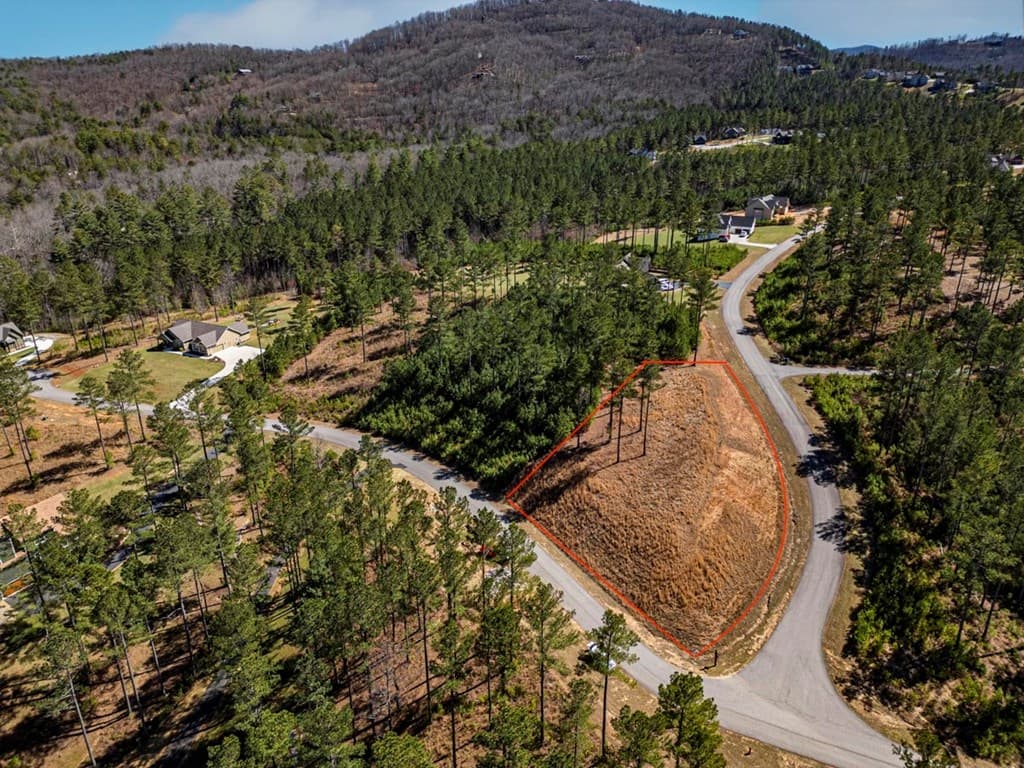 0 Loop Lane, Blairsville GA 30512 - Photo