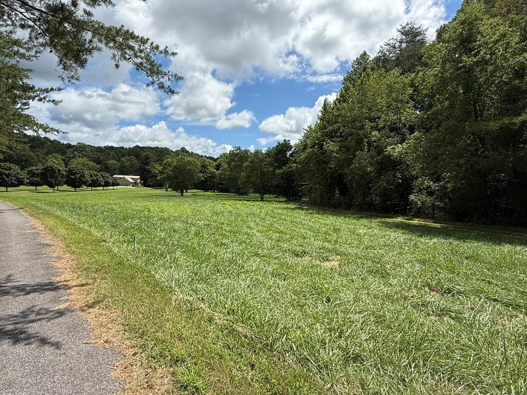 Lot 9 Riverside, Blairsville GA 30512 - Photo