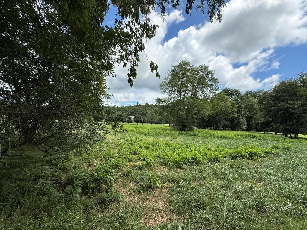 Lot 9 Riverside, Blairsville GA 30512 - Photo