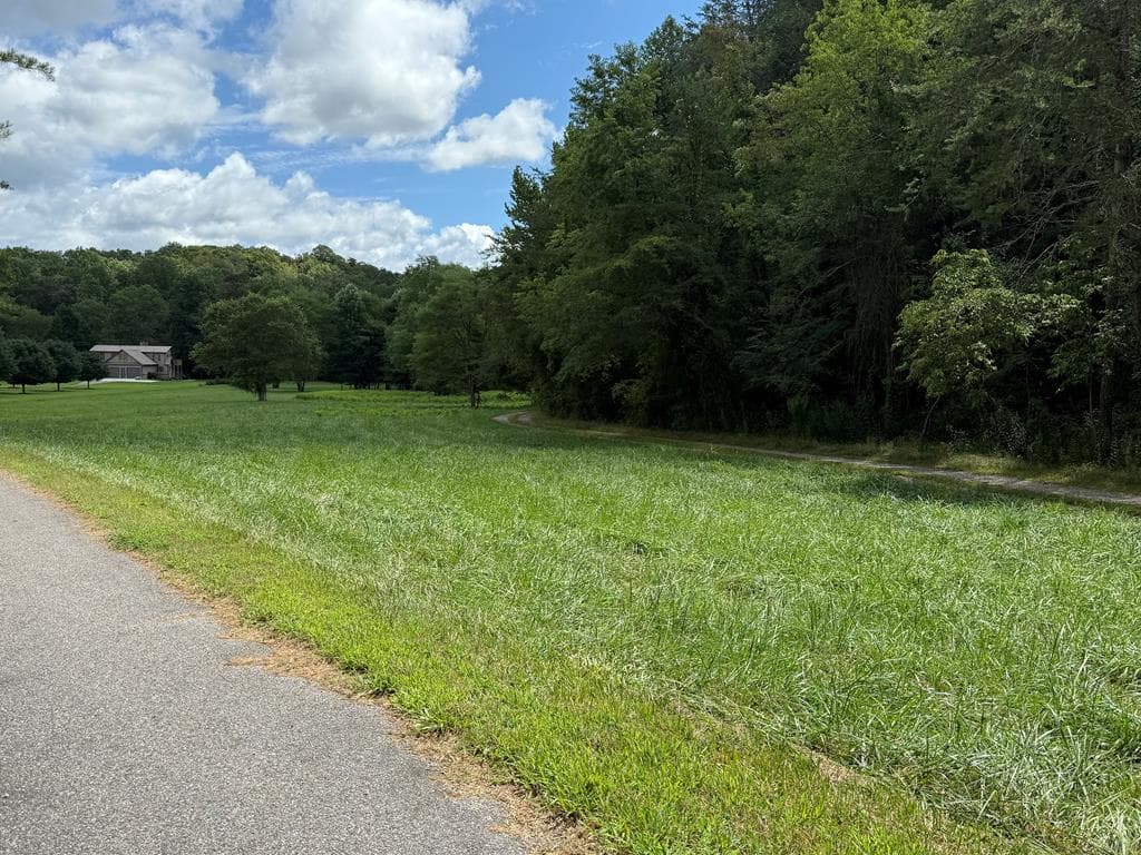 Lot 9 Riverside, Blairsville GA 30512 - Photo