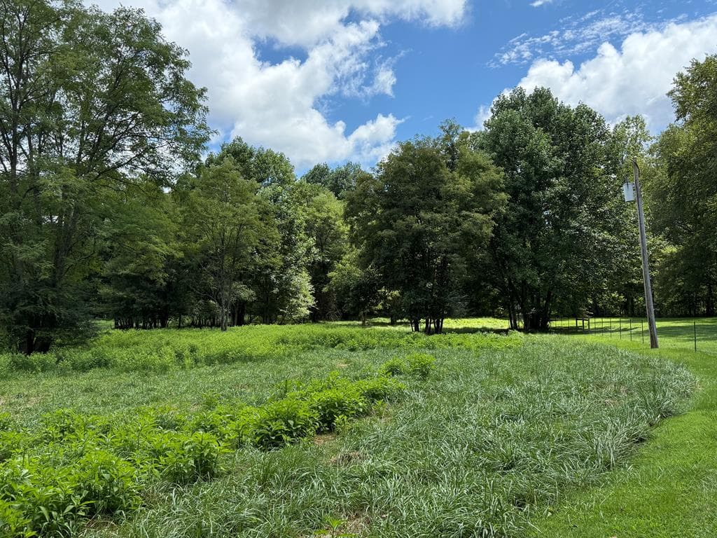Lot 9 Riverside, Blairsville GA 30512 - Photo