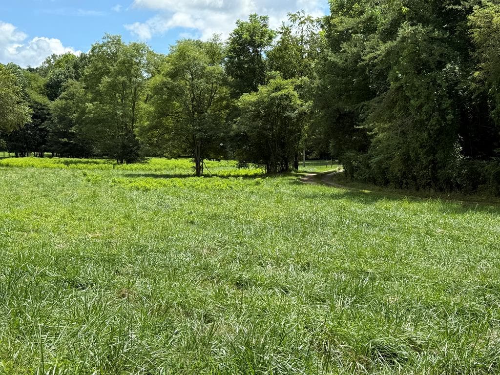 Lot 9 Riverside, Blairsville GA 30512 - Photo