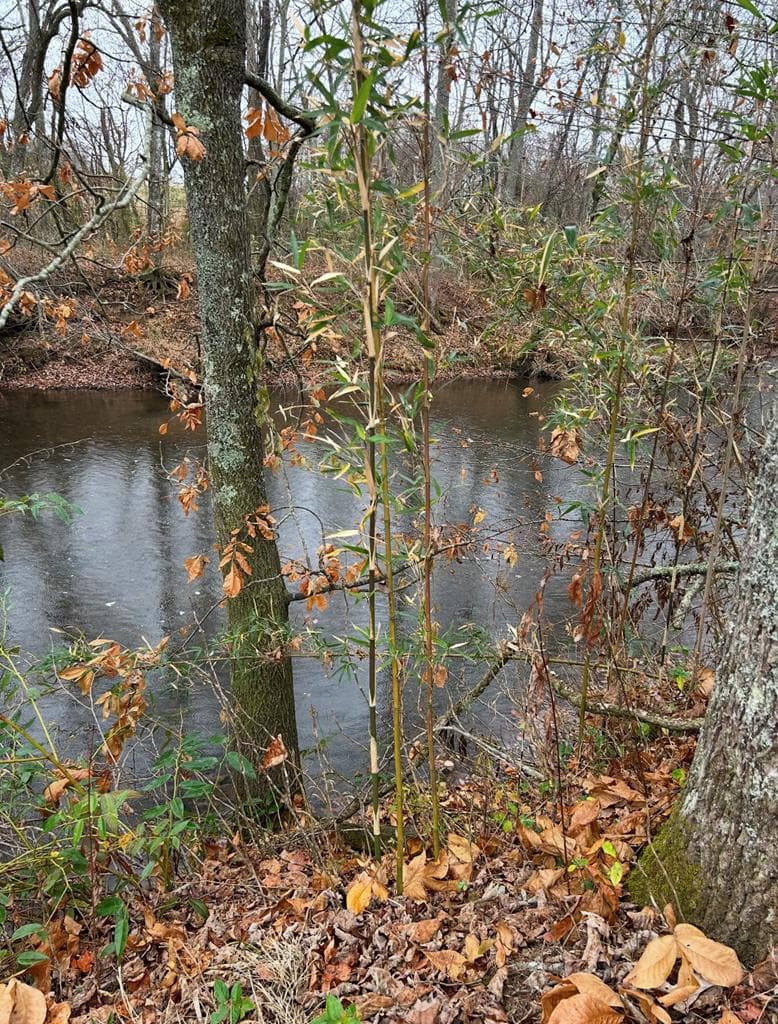 Lot 9 Riverside, Blairsville GA 30512 - Photo