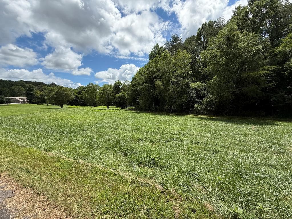 Lot 9 Riverside, Blairsville GA 30512 - Primary photo