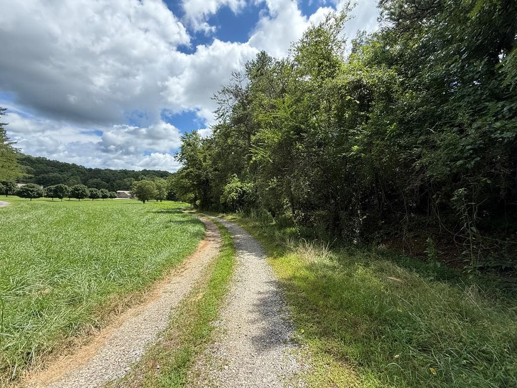 Lot 9 Riverside, Blairsville GA 30512 - Photo