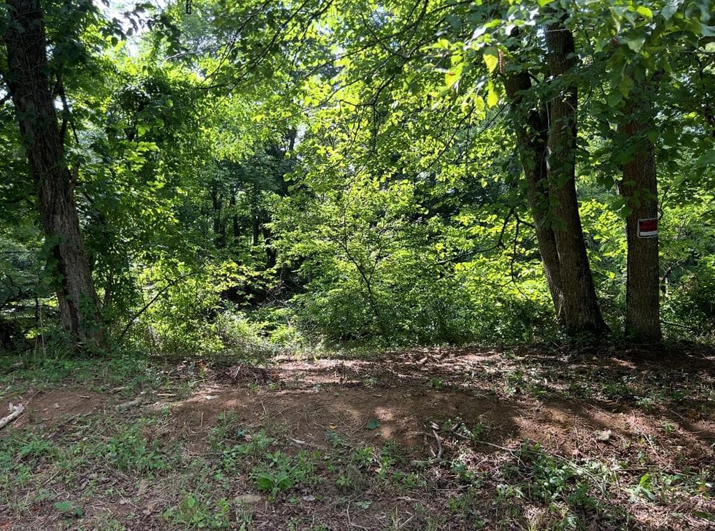 Lot 9 Riverside, Blairsville GA 30512 - Photo