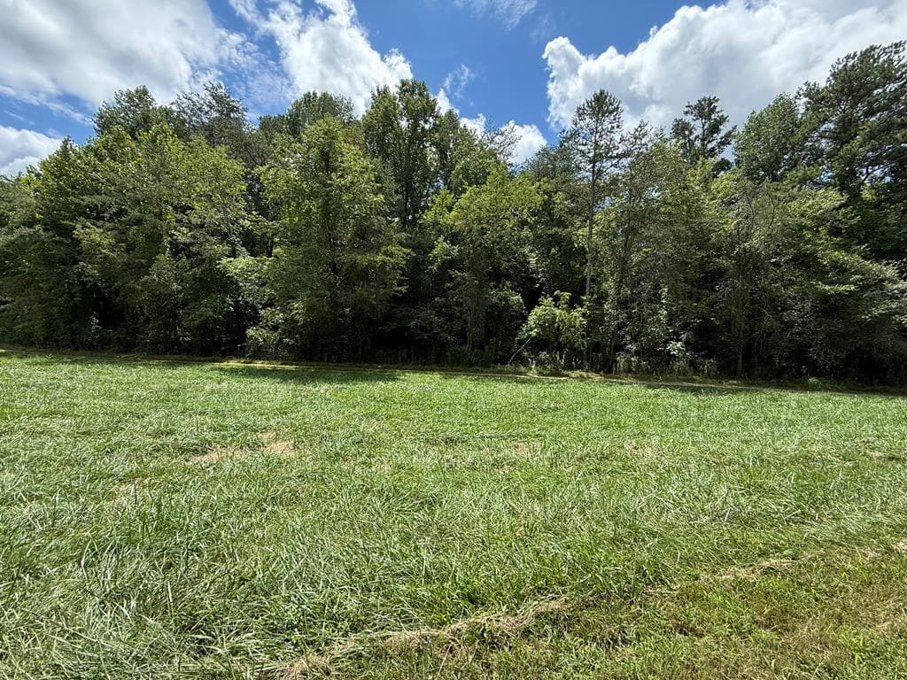 Lot 9 Riverside, Blairsville GA 30512 - Photo