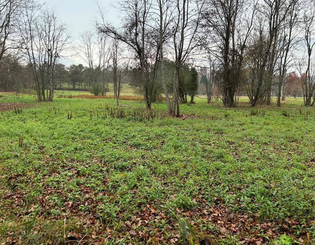 Lot 9 Riverside, Blairsville GA 30512 - Photo