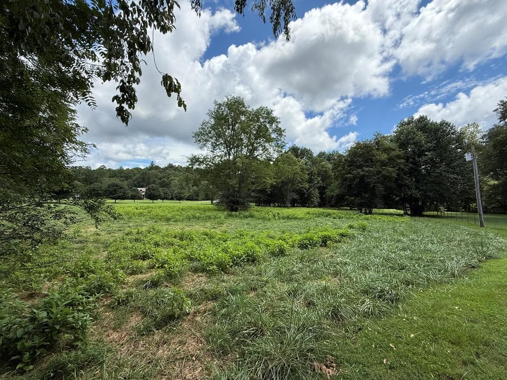 Lot 9 Riverside, Blairsville GA 30512 - Photo