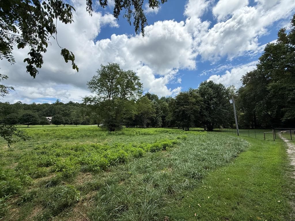 Lot 9 Riverside, Blairsville GA 30512 - Photo