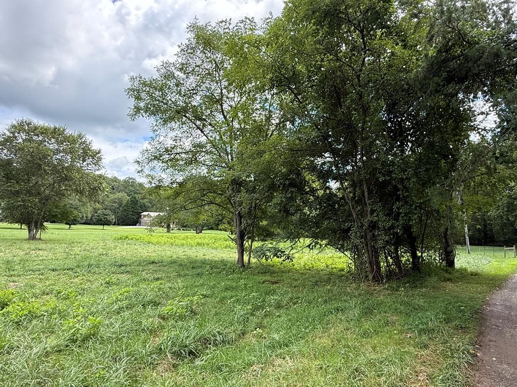 Lot 9 Riverside, Blairsville GA 30512 - Photo