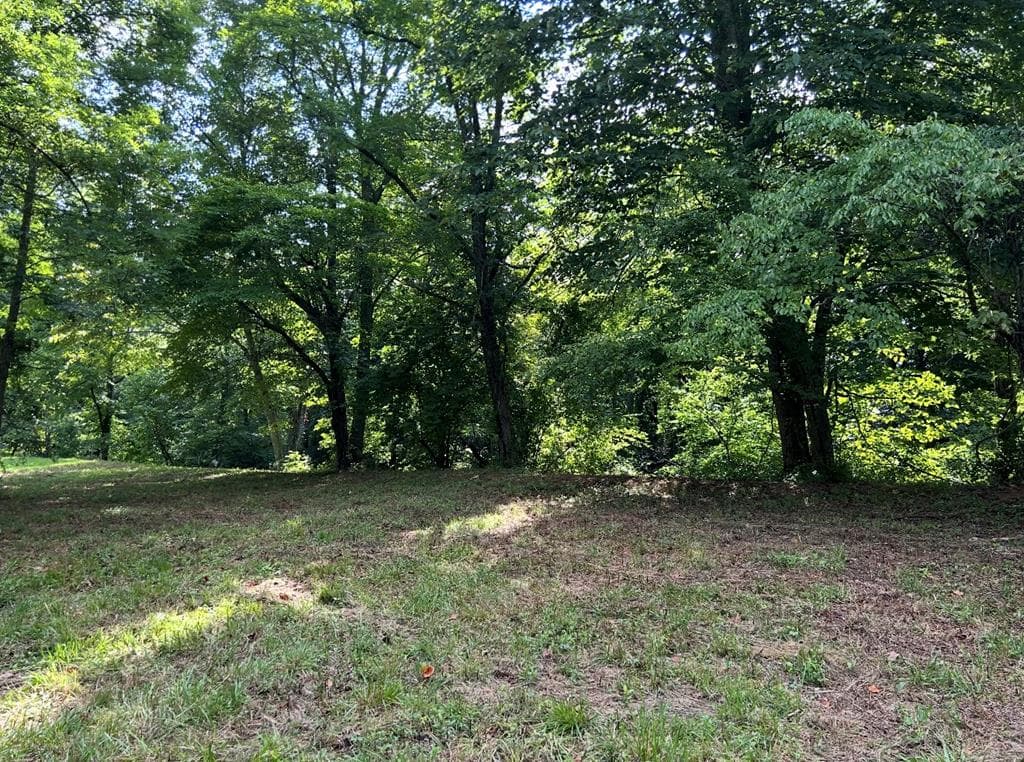 Lot 9 Riverside, Blairsville GA 30512 - Photo