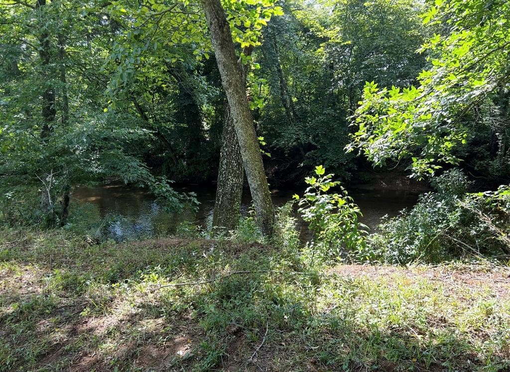 Lot 9 Riverside, Blairsville GA 30512 - Photo
