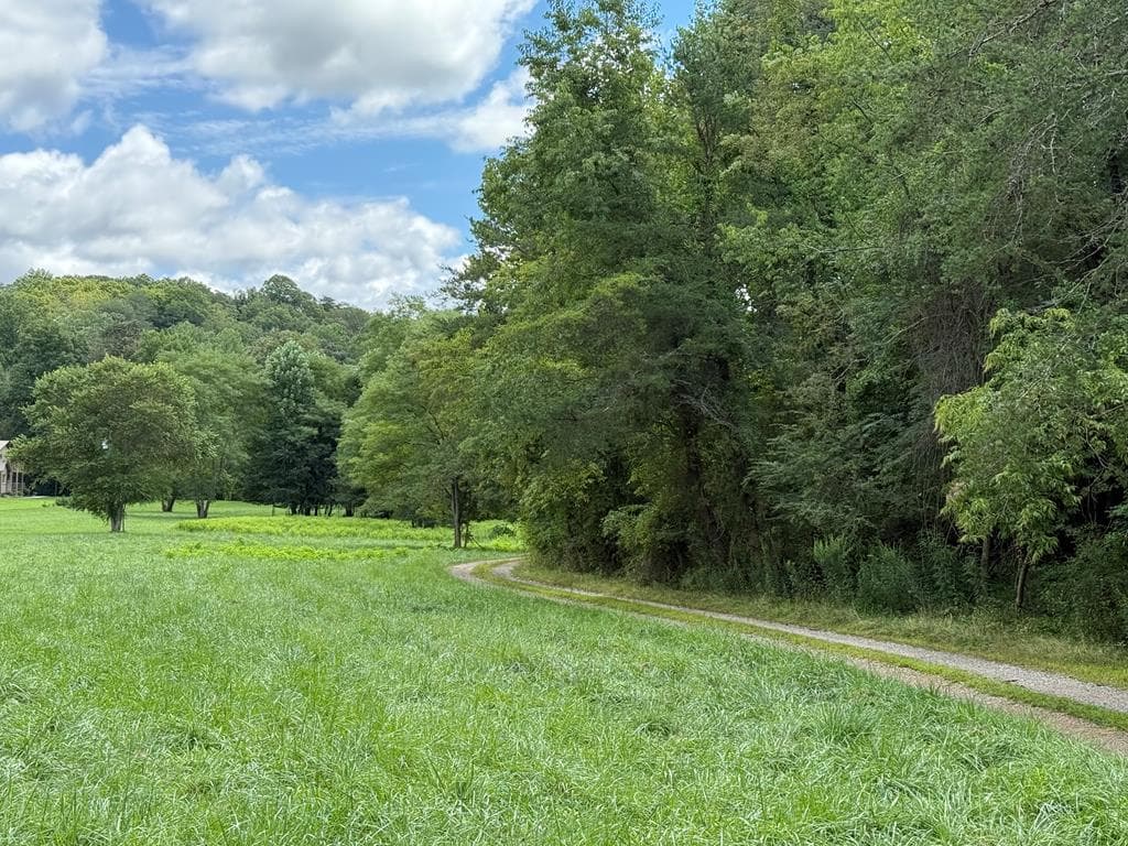 Lot 9 Riverside, Blairsville GA 30512 - Photo
