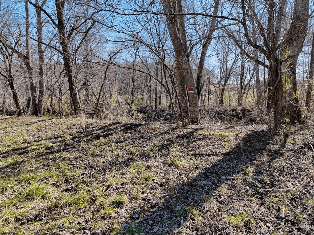 Lot 9 Riverside, Blairsville GA 30512 - Photo