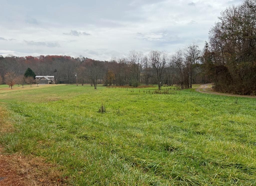Lot 9 Riverside, Blairsville GA 30512 - Photo