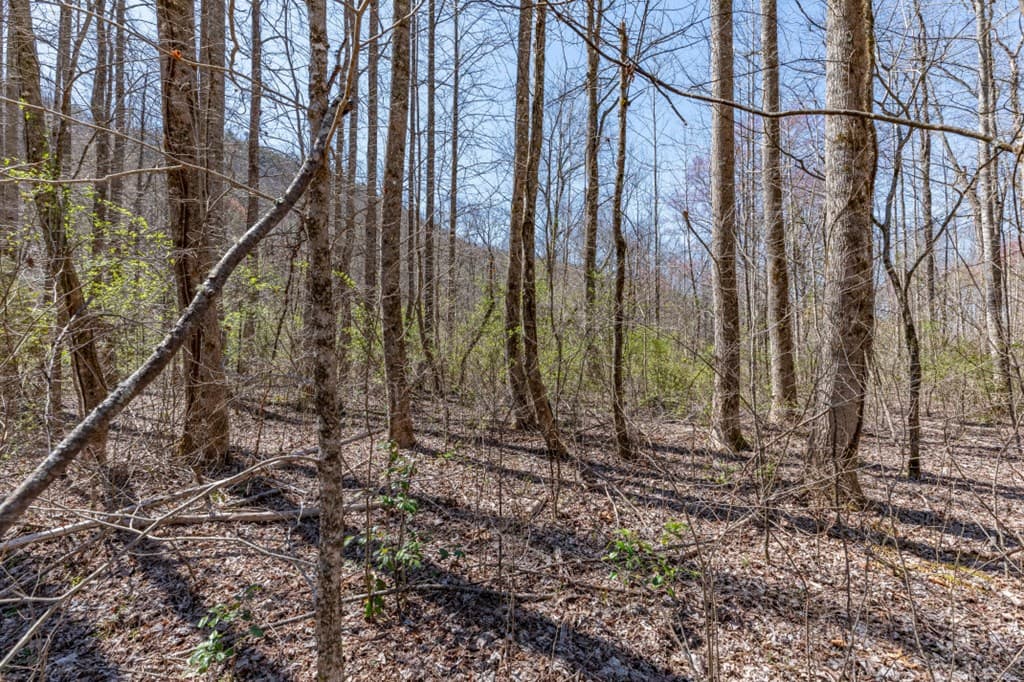Lots 12+ Tusquittee Crossing, Hayesville NC 28904 - Photo