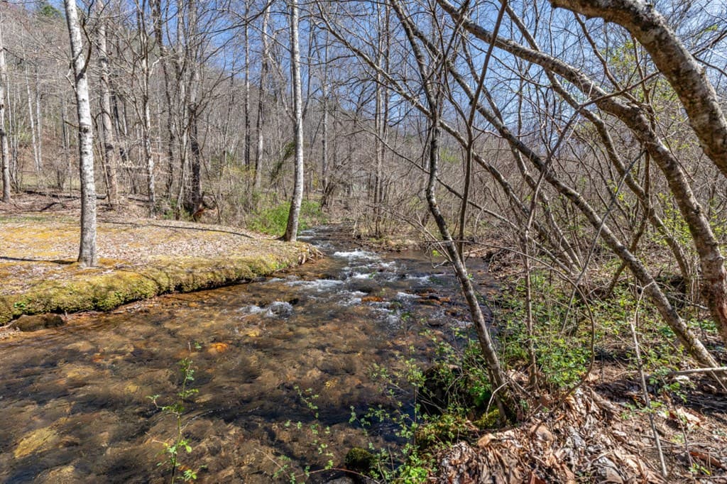 Lots 12+ Tusquittee Crossing, Hayesville NC 28904 - Photo